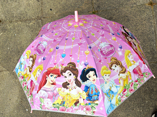 Disney princess girls dome - disney,